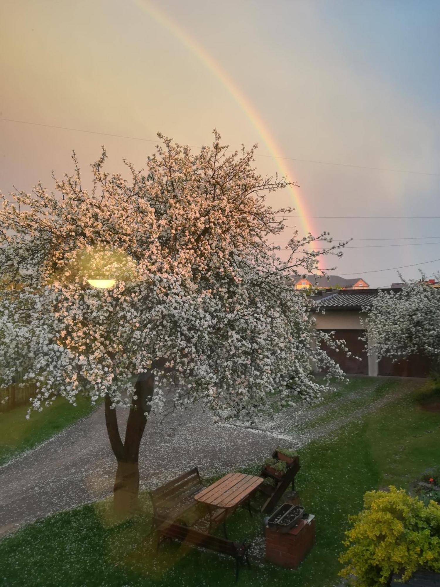 Przytulny Dom Pod Jabloniami Przy Targach Kielce Villa Dış mekan fotoğraf